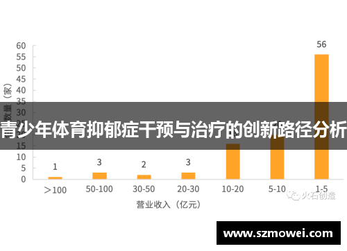 青少年体育抑郁症干预与治疗的创新路径分析