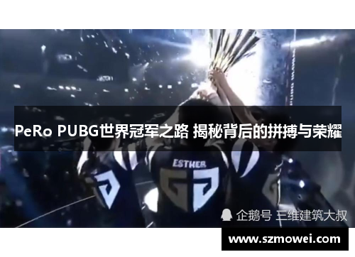 PeRo PUBG世界冠军之路 揭秘背后的拼搏与荣耀